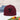 TI Logo Snapback Hat — Team Islam (view 2 of 16)
